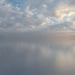 Citrus Orchard Pure Sky