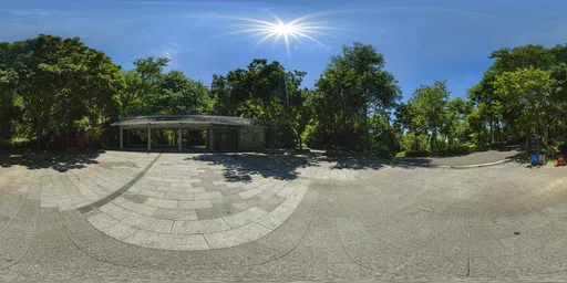 Sunny road