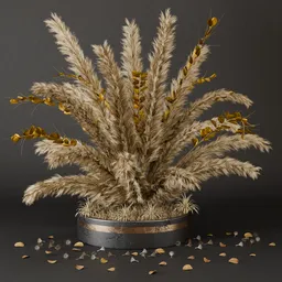 SJ-minimal pampas grass collection