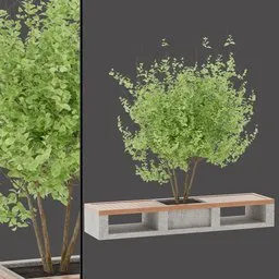 Architectural Tree Table