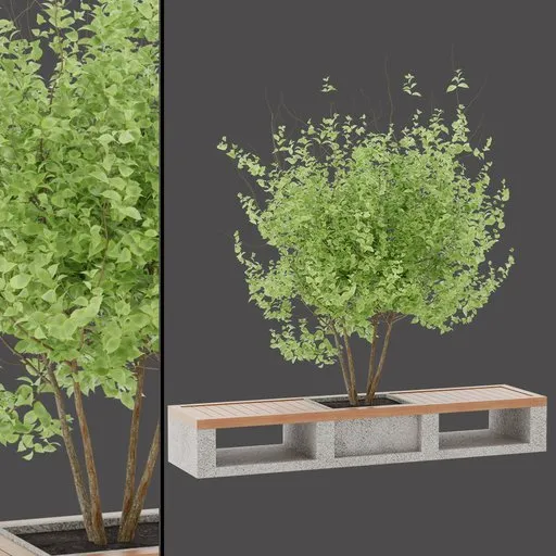 Architectural Tree Table