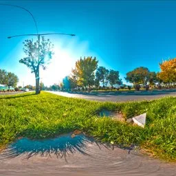 Low Ground Roadside Grass