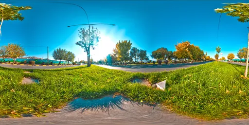 Low Ground Roadside Grass