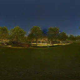 Hill grass at night