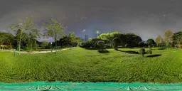 Green grass at night