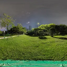 Green grass at night