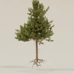 High-efficiency 3D pine tree model with optimized needles for Blender rendering, ideal for forest scenes.