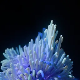 Abstract Glowing Organic