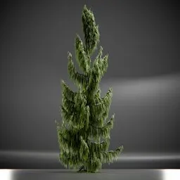 Tree Weeping Nootka Animated