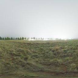 Misty landscape HDR for 3D scene lighting, featuring grassy terrain and distant trees under an overcast sky.