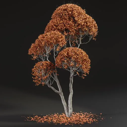 Detailed 3D fall tree model with reddish-brown foliage, Blender 3.6 cycles render in cm, available in blend format.