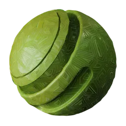 Turtle Shell