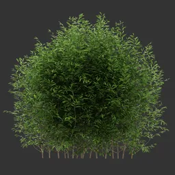 Multiple Simple Bush Q