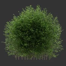Multiple Simple Bush Q