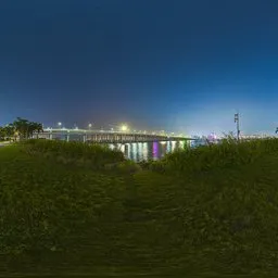 Seaside grass at night