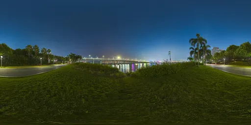 Seaside grass at night