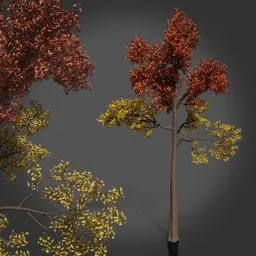Realistic Tree