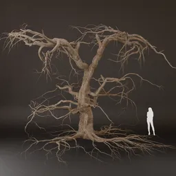 SJ-Tree Trunk And Dead Roots