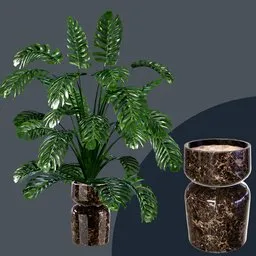 Realistic 3D Monstera plant model with detailed PBR vase and modeled soil for Blender rendering.
