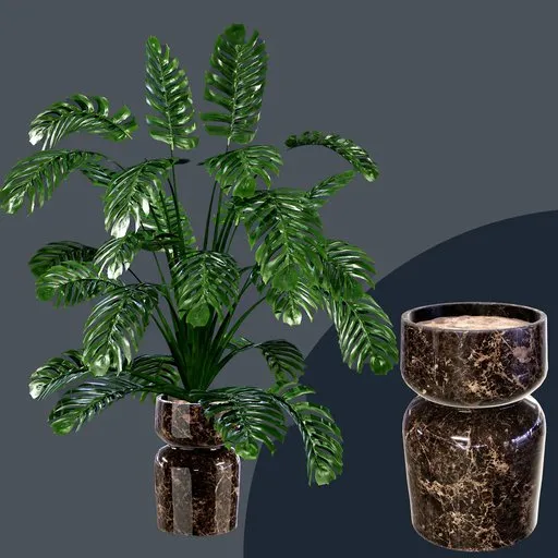 Realistic 3D Monstera plant model with detailed PBR vase and modeled soil for Blender rendering.