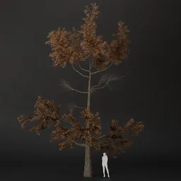 SJ-Cold Shadow Pine Tree