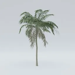 Palm V4