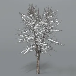 Tree With Snow