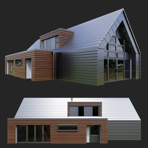 Modern Wood Fusion House