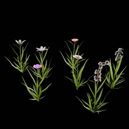 Realistic Outdoor Flowers