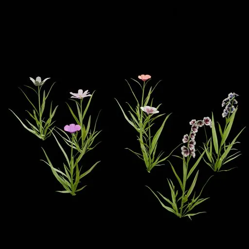 Realistic Outdoor Flowers