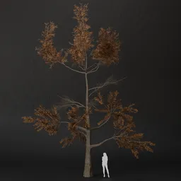SJ-Rustic Fall Pine Tree