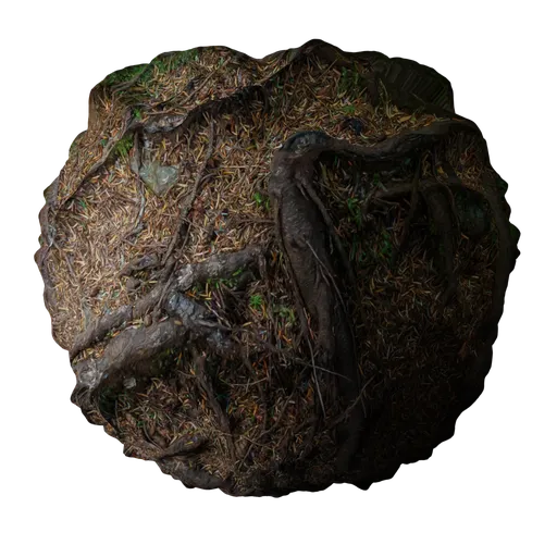 Realistic PBR Forest Ground texture with detailed roots for 3D modeling and rendering in Blender.