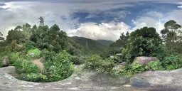 360-degree panoramic HDR of lush greenery, vibrant foliage, and clear skies for realistic scene lighting.