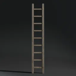 Wooden Ladder