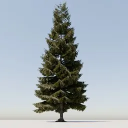 Detailed 3D conifer model with textured foliage and intricate root system for Blender rendering.