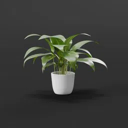 Highly detailed 3D model of indoor potted plant, perfect for Blender rendering and interior design visualizations.