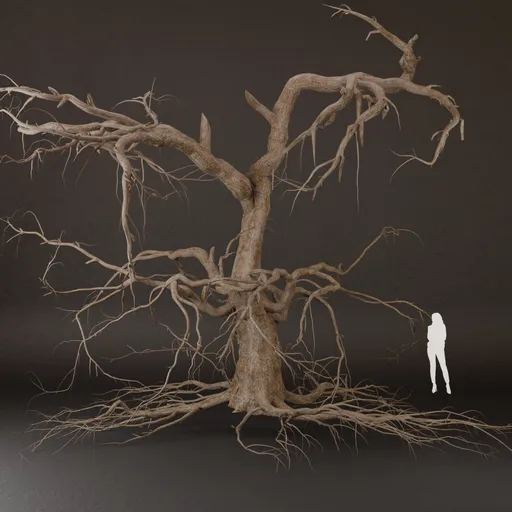 SJ-Tree Model With Dead Branches