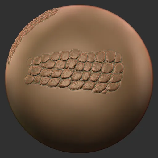 Broad Reptile Scales