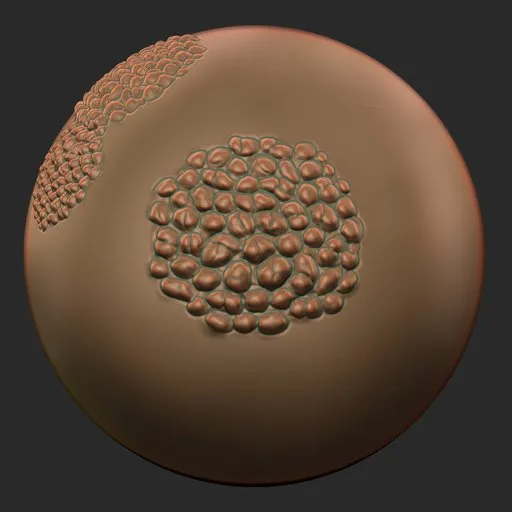 ER_Fish Scale 18