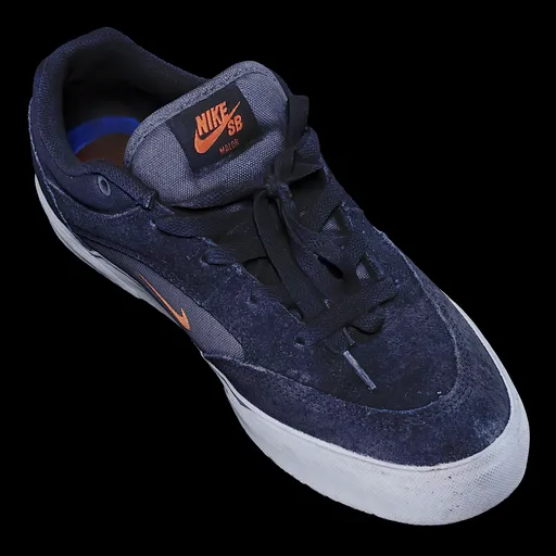 Scan Shoe14