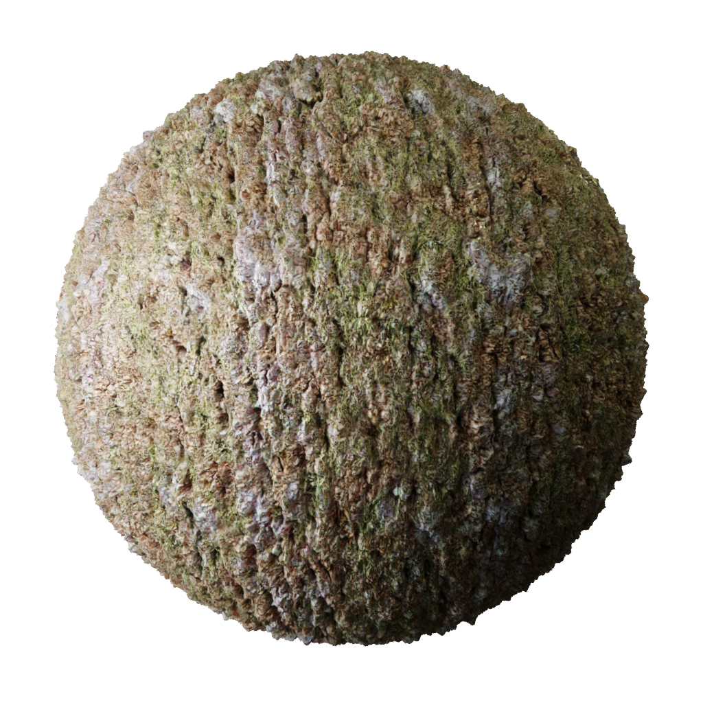 BlenderKit Download the FREE Bark Chestnut Moss material