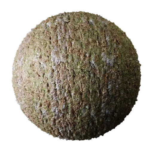 2K PBR Chestnut Tree Bark with Moss Texture for realistic organic material in Blender 3D, featuring detailed displacement and procedural elements.