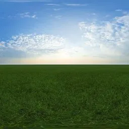 Green grass cloudy blue sky pure sky