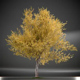 Tree Princeton Sentry Animated