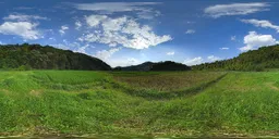 Green lawn during the day