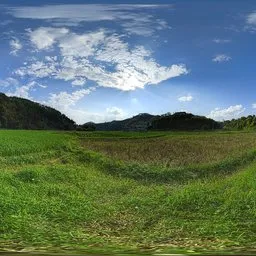 Green lawn during the day