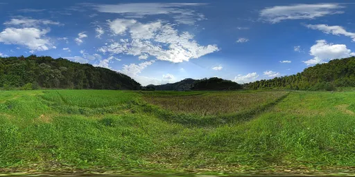 Green lawn during the day