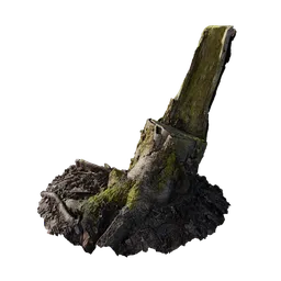 Mossy Stump