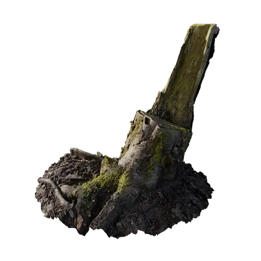 Mossy Stump