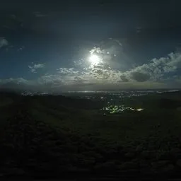 Cloudy Night Over Forest